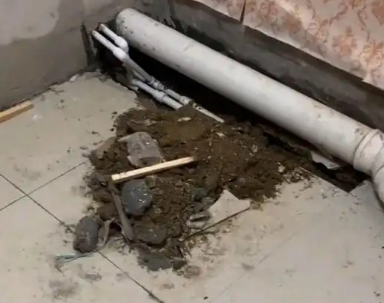 赣县卫生间漏水检测哪家好